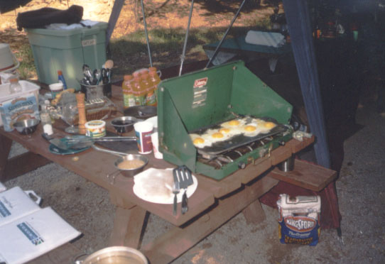 fried eggs