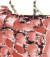 1300 GP trees in high surface area membranes