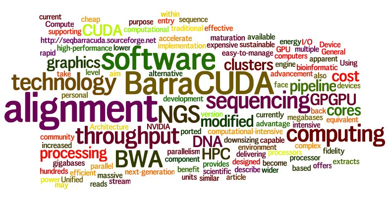 barracuda wordle