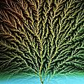 EuroGP'2001 tree of knowledge logo
(copyright Science Photo Library)